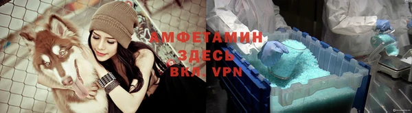 амф Абаза
