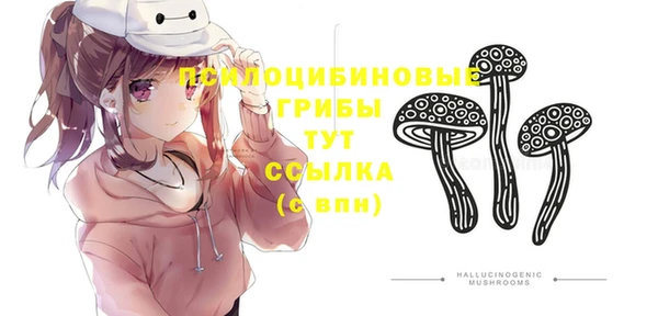 не бодяженный Абдулино
