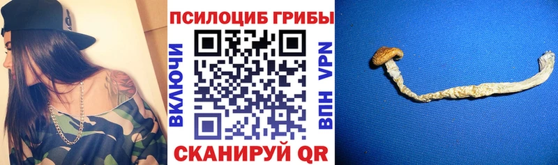 где найти наркотики Алатырь мега рабочий сайт Псилоцибиновые грибы мухоморы