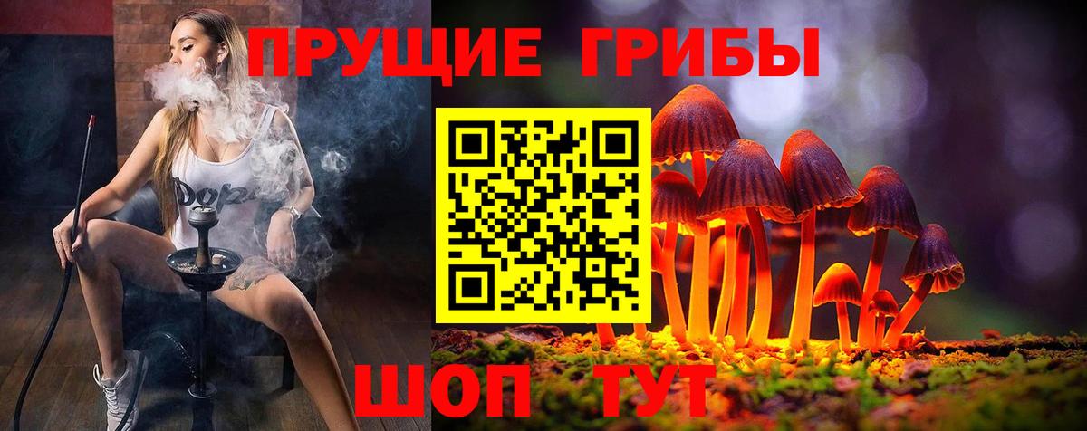 Алатырь  Галлюциногенные грибы Psilocybine cubensis  Вход с VPN  Псилоцибиновые грибы Magic Shrooms 